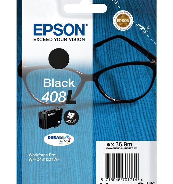 Epson Cartridge Black L C13T09K14010